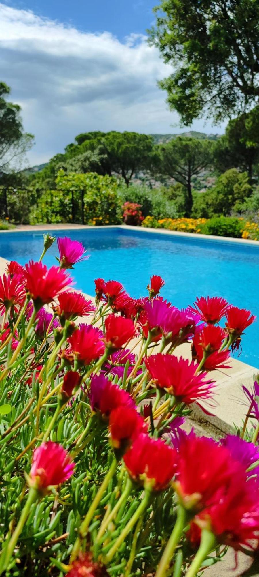 Villa Boheme Costa Brava Калонже Экстерьер фото